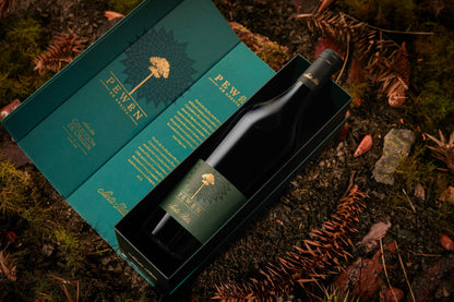 Vino Pewen Carmenere Valle de Apalta color rojo púrpura