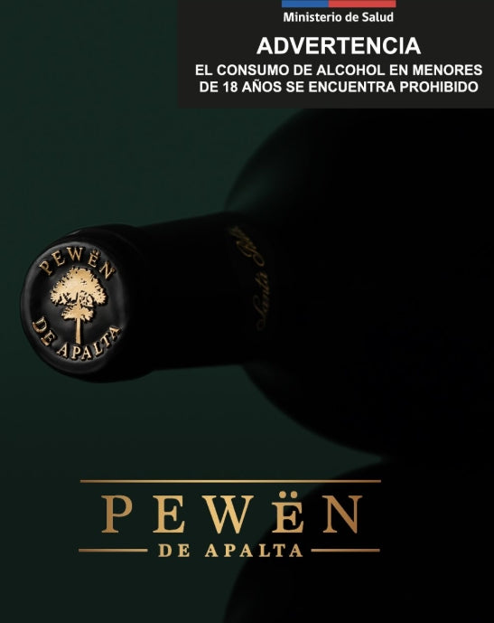 Vino Pewen Carmenere 750 cc | Tinto Valle de Apalta